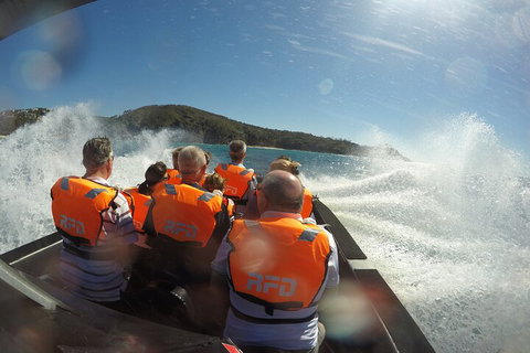 Noosa Thriller - 500hp Ocean Adventure Ride - Accommodation QLD 3