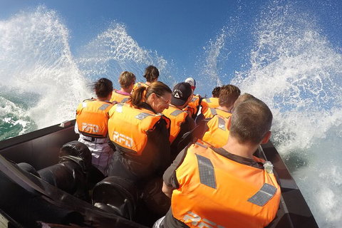 Noosa Thriller - 500hp Ocean Adventure Ride - Accommodation QLD 4