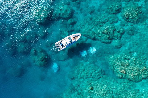 Premium Private Charter - Accommodation QLD 0