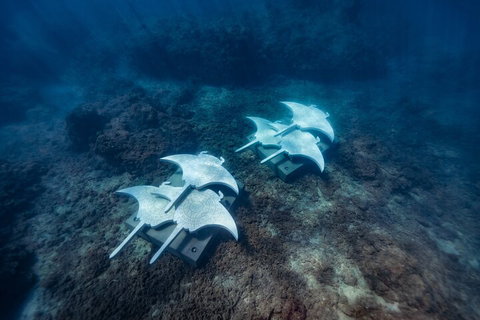 Premium Private Charter - Accommodation QLD 3