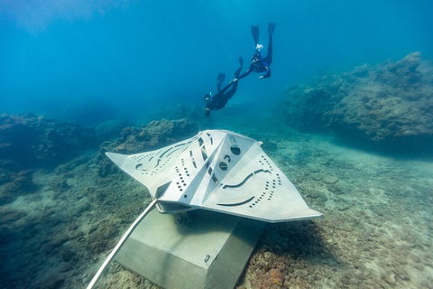 Premium Private Charter - Accommodation QLD 5