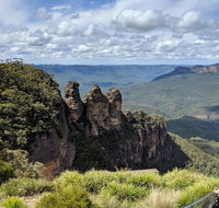 Blue Mountains Private Tour - wild kangaroos waterfalls and The Three Sisters - Accommodation QLD