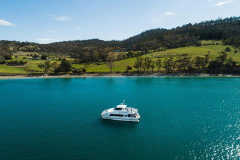 Deep-to-Dish: Tasmanian Seafood Experience - Accommodation QLD 0
