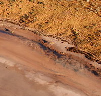 Scenic Flight Lizard Safari - Accommodation QLD