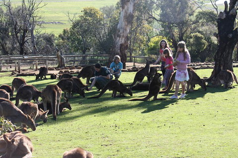 The Port Arthur MEGA Day Trip From Hobart - Accommodation QLD 5
