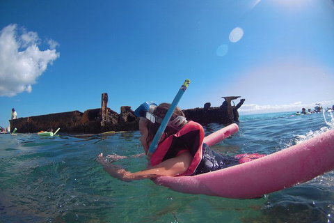 All Inclusive Dolphin And Tangalooma Wrecks Cruise - Accommodation QLD 2