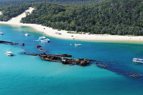 All Inclusive Dolphin And Tangalooma Wrecks Cruise - Accommodation QLD 4