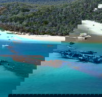 All Inclusive Tangalooma Wrecks Cruise Tour From Gold Coast - Accommodation QLD