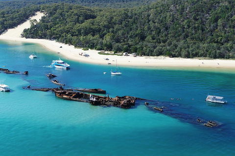 All Inclusive Tangalooma Wrecks Cruise Tour From Gold Coast - Accommodation QLD 0