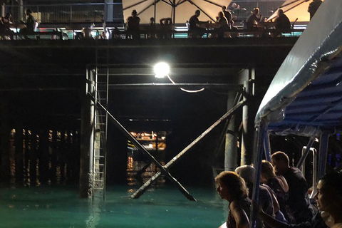 Darwin Sunset Cruise Including Fish 'n' Chips - Accommodation QLD 0
