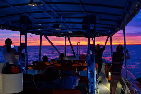 Darwin Sunset Cruise Including Fish 'n' Chips - Accommodation QLD 1