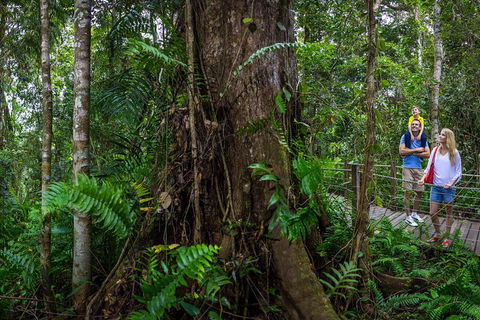 Kuranda Day Tour + HotAir Balloon Combo - Accommodation QLD 3