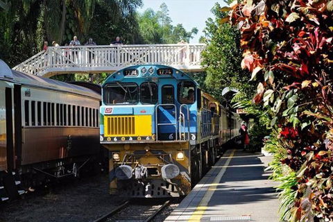 Kuranda Day Tour + HotAir Balloon Combo - Accommodation QLD 4