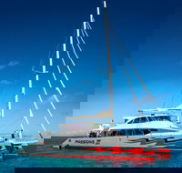 Passions of Paradise Great Barrier Reef Snorkel and Dive Cruise from Cairns by Luxury Catamaran - Accommodation QLD
