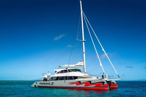 Passions Of Paradise Great Barrier Reef Snorkel And Dive Cruise From Cairns By Luxury Catamaran - Accommodation QLD 0