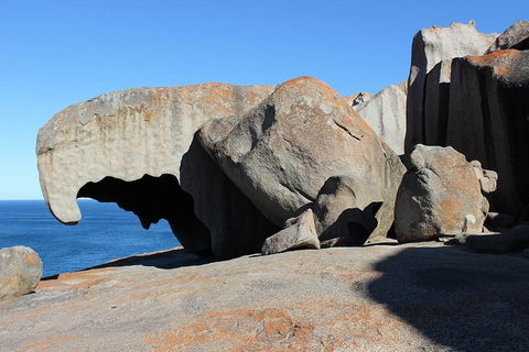 Kangaroo Island Personal Group Tours - Accommodation QLD 2