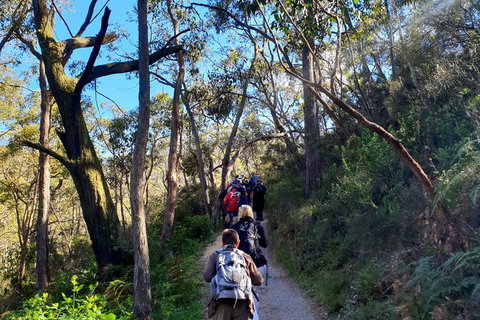 Self-Guided Waterfall Gully To Mount Lofty Hike From Adelaide - Accommodation QLD 1