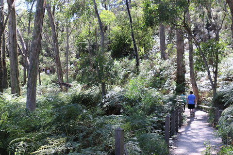 Self-Guided Waterfall Gully To Mount Lofty Hike From Adelaide - Accommodation QLD 2