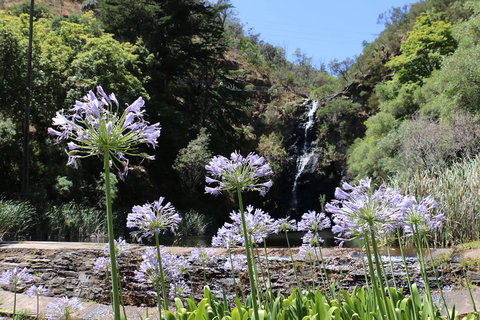 Self-Guided Waterfall Gully To Mount Lofty Hike From Adelaide - Accommodation QLD 3