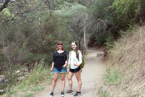 Self-Guided Waterfall Gully To Mount Lofty Hike From Adelaide - Accommodation QLD 4