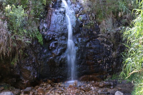Self-Guided Waterfall Gully To Mount Lofty Hike From Adelaide - Accommodation QLD 5