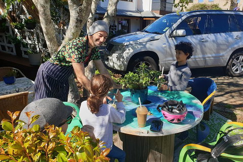 O'Reilly's & Lamington National Park From Brisbane - Accommodation QLD 3