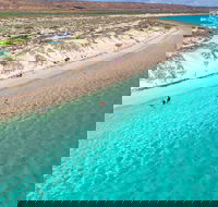 Ningaloo in a Day - Full Day Hike and Snorkel Tour with Lunch - Accommodation QLD