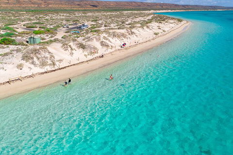 Ningaloo In A Day - Full Day Hike And Snorkel Tour With Lunch - Accommodation QLD 0