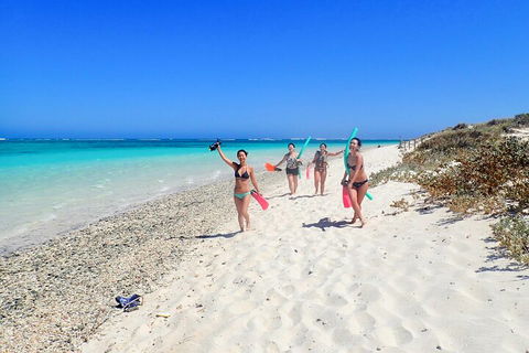 Ningaloo In A Day - Full Day Hike And Snorkel Tour With Lunch - Accommodation QLD 1