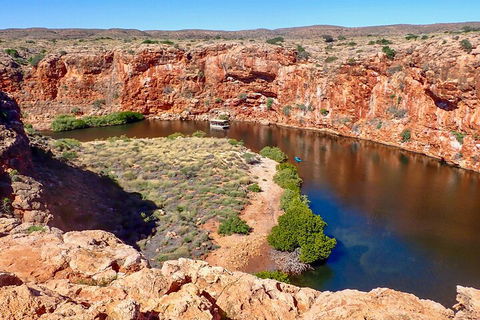 Ningaloo In A Day - Full Day Hike And Snorkel Tour With Lunch - Accommodation QLD 2
