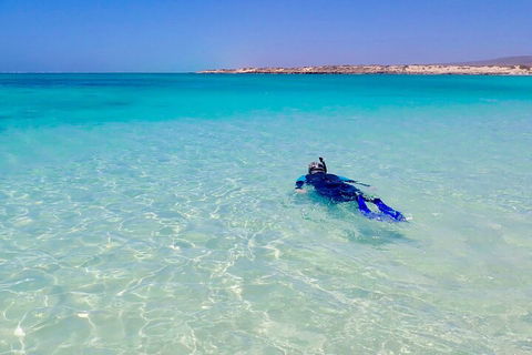 Ningaloo In A Day - Full Day Hike And Snorkel Tour With Lunch - Accommodation QLD 4