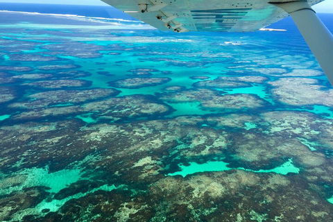 Shipwreck Special Full Day Tour Of The Abrolhos Islands - Accommodation QLD 1