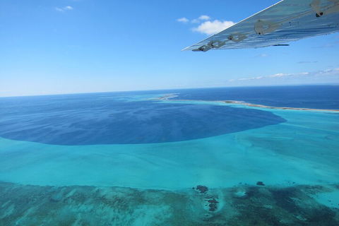 Shipwreck Special Full Day Tour Of The Abrolhos Islands - Accommodation QLD 2