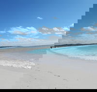 Shipwreck Special Nature Tour/Half Day Tour - Accommodation QLD