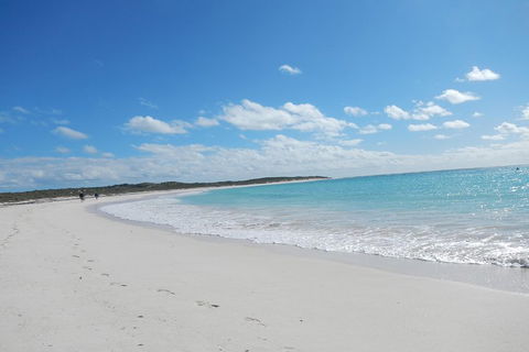 Shipwreck Special Nature Tour/Half Day Tour - Accommodation QLD 0