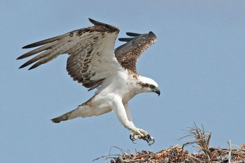 Shipwreck Special Nature Tour/Half Day Tour - Accommodation QLD 4