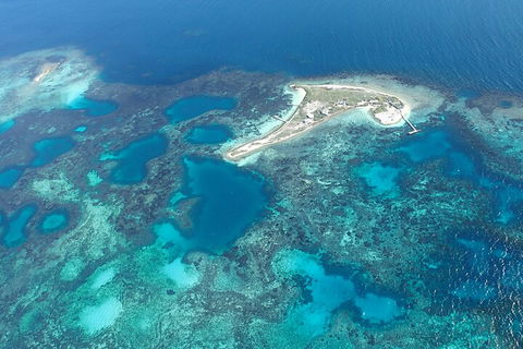 Shipwreck Special Nature Tour/Half Day Tour - Accommodation QLD 5
