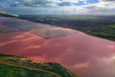 Kalbarri, Pink Lake And Abrolhos Islands Nature Tour - Accommodation QLD 1