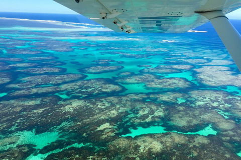 Kalbarri, Pink Lake And Abrolhos Islands Nature Tour - Accommodation QLD 5