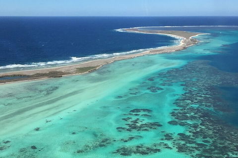 Pink Lake + Abrolhos Islands Nature Tour - Accommodation QLD 2