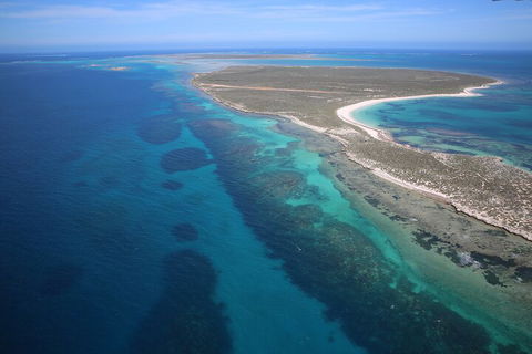 Pink Lake + Abrolhos Islands Scenic Flight - Accommodation QLD 0