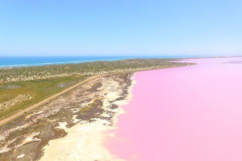 Pink Lake + Abrolhos Islands Scenic Flight - Accommodation QLD 4