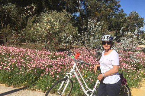 Perth Bike Tour - Beautiful Matilda Bay And Kings Park - Accommodation QLD 1