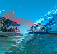 Best of Moreton Bay Cruise - Accommodation QLD