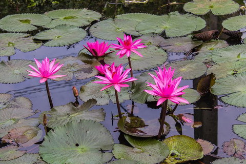 Kakadu, Nourlangie And Yellow Waters Tour From Darwin - Accommodation QLD 1