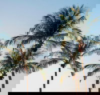 Darwin City Sightseeing Tour - Accommodation QLD