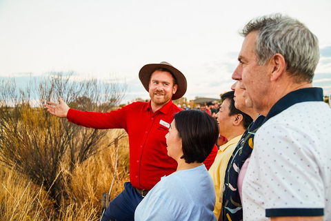 Uluru (Ayers Rock) Sunset With Outback Barbecue Dinner And Star Tour - Accommodation QLD 3