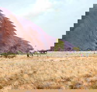 Uluru Sunrise and Guided Base Walk - Accommodation QLD
