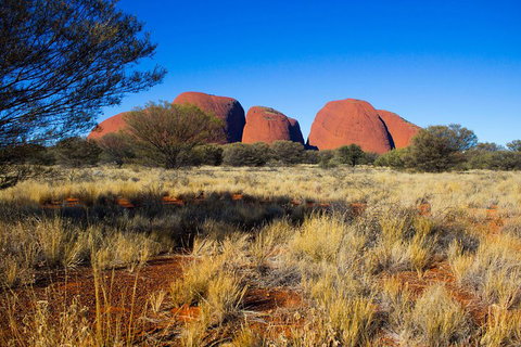 Kata Tjuta Sunrise And Valley Of The Winds Half-Day Trip - Accommodation QLD 1