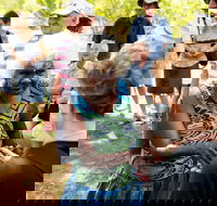 Tiwi Islands Cultural Experience from Darwin Including Ferry - Accommodation QLD